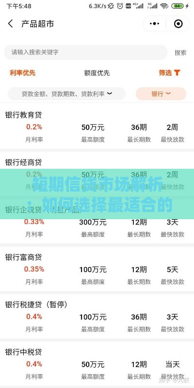 短期信贷市场解析：如何选择最适合的贷款产品