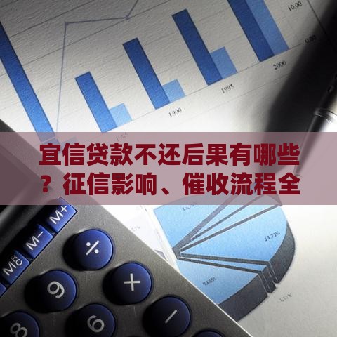 宜信贷款不还后果有哪些？征信影响、催收流程全面解析