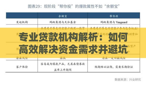 专业贷款机构解析：如何高效解决资金需求并避坑？