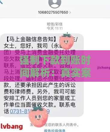 强制下款到账时间解析：真实案例与避坑指南