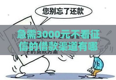 急需3000元不看征信的借款渠道有哪些？这几个方法真实有效