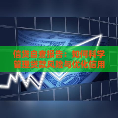 信贷自查报告：如何科学管理贷款风险与优化信用健康