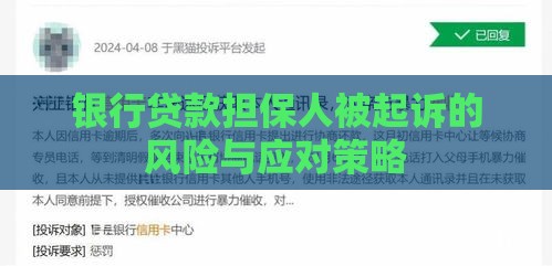 银行贷款担保人被起诉的风险与应对策略