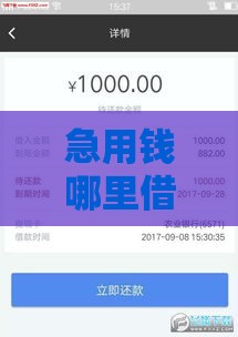 急用钱哪里借？下款快且不查征信的贷款渠道盘点