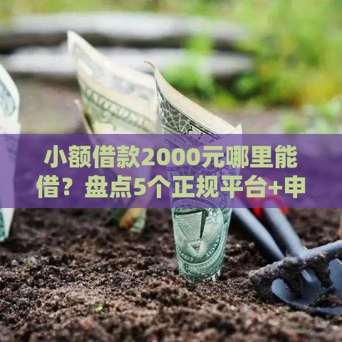 小额借款2000元哪里能借?盘点5个正规平台+申请流程全解析 小额借款2000元哪里能借?盘点5个正规平台+申请流程全解析