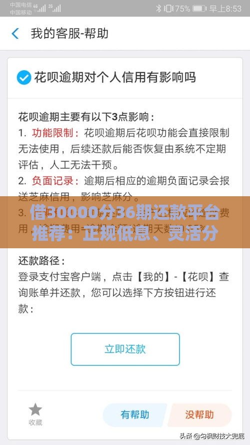 借30000分36期还款平台推荐：正规低息、灵活分期贷款攻略