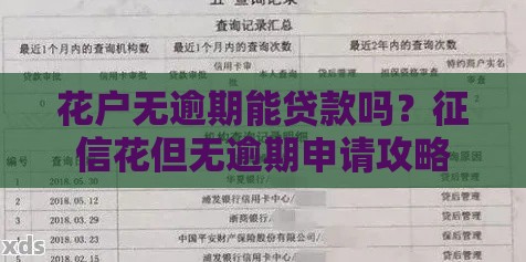 花户无逾期能贷款吗？征信花但无逾期申请攻略