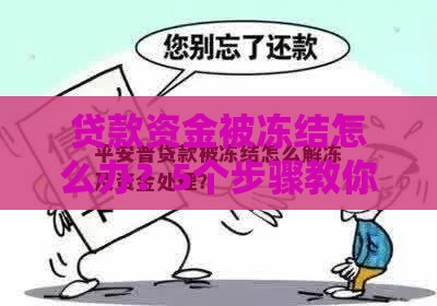 贷款资金被冻结怎么办？5个步骤教你快速解决