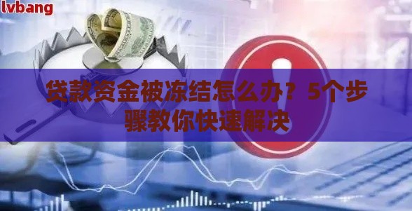 贷款资金被冻结怎么办？5个步骤教你快速解决