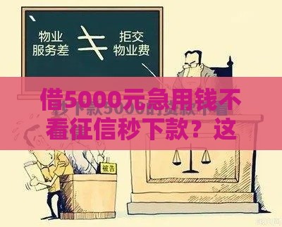 借5000元急用钱不看征信秒下款？这些方法真实测评