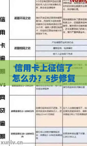 信用卡上征信了怎么办？5步修复信用不影响贷款