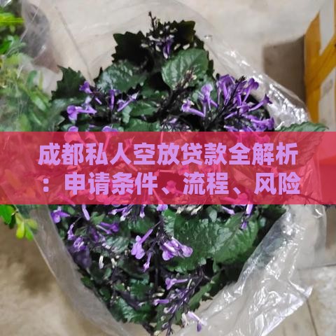 成都私人空放贷款全解析：申请条件、流程、风险及避坑指南