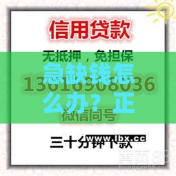 急缺钱怎么办？正规快速借款渠道盘点及避坑指南