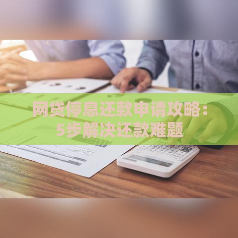 网贷停息还款申请攻略：5步解决还款难题
