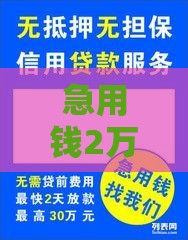 急用钱2万怎么借？5个快速到账的合法借款渠道