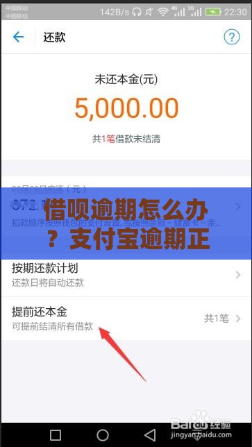 借呗逾期怎么办？支付宝逾期正确处理方式及影响分析
