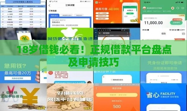 18岁借钱必看！正规借款平台盘点及申请技巧