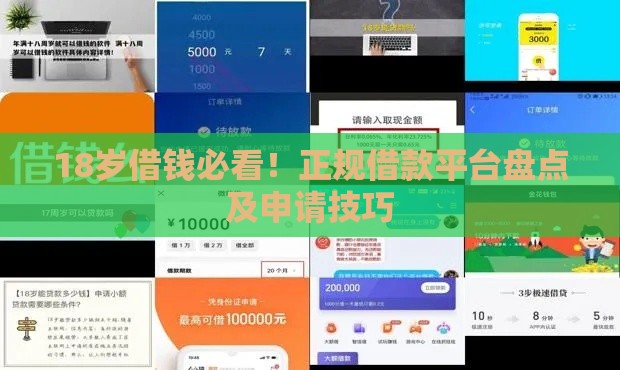 18岁借钱必看！正规借款平台盘点及申请技巧