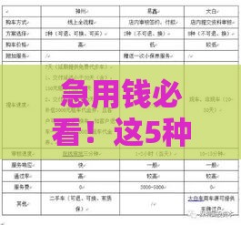 急用钱必看！这5种贷款不查征信也能申请（真实渠道分析）