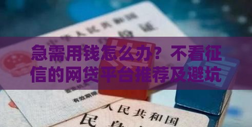 急需用钱怎么办？不看征信的网贷平台推荐及避坑指南