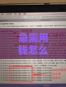 急需用钱怎么办？不看征信的网贷平台推荐及避坑指南