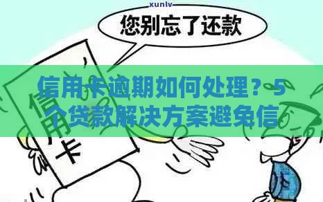 信用卡逾期如何处理？5个贷款解决方案避免信用危机