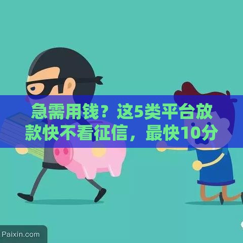 急需用钱？这5类平台放款快不看征信，最快10分钟到账
