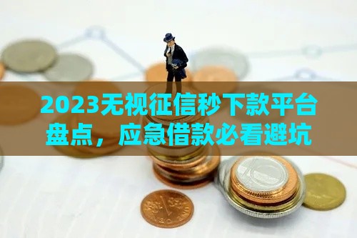 2023无视征信秒下款平台盘点，应急借款必看避坑指南