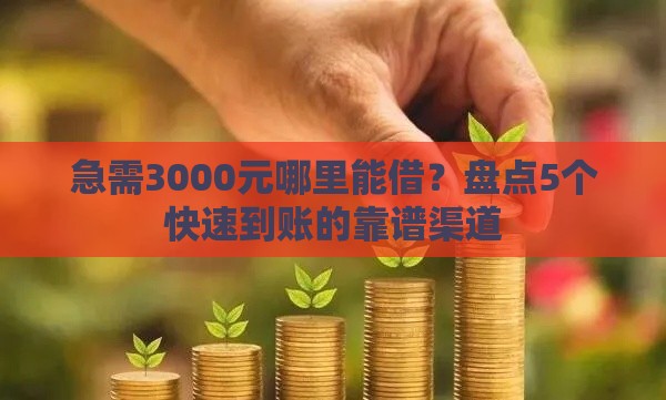 急需3000元哪里能借？盘点5个快速到账的靠谱渠道