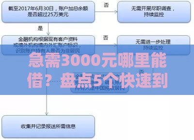 急需3000元哪里能借？盘点5个快速到账的靠谱渠道