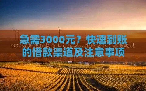 急需3000元？快速到账的借款渠道及注意事项