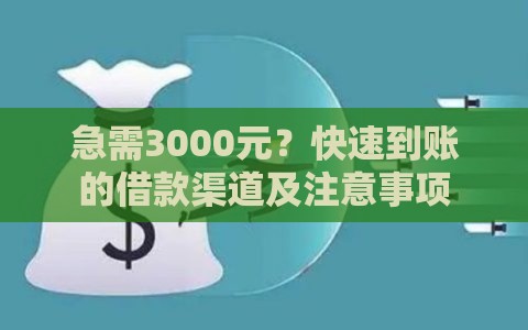 急需3000元？快速到账的借款渠道及注意事项