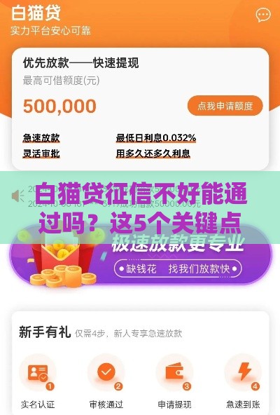 白猫贷征信不好能通过吗？这5个关键点必须了解