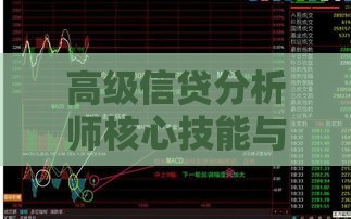 高级信贷分析师核心技能与风险控制实战技巧