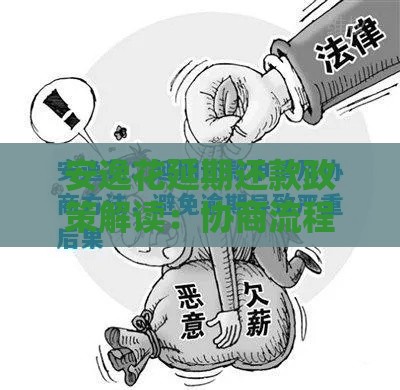 安逸花延期还款政策解读：协商流程与注意事项