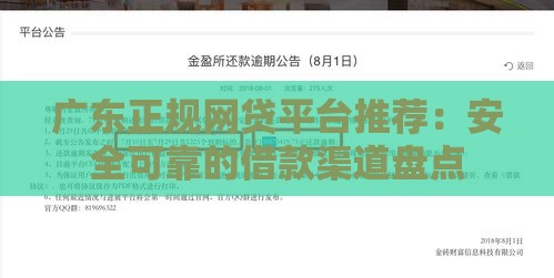 广东正规网贷平台推荐：安全可靠的借款渠道盘点