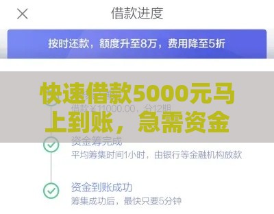 快速借款5000元马上到账，急需资金这样解决！
