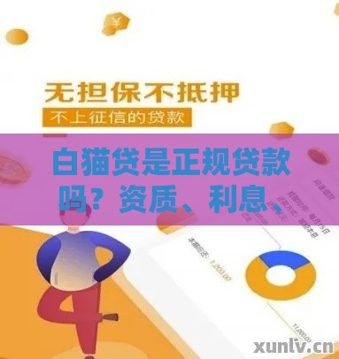 白猫贷是正规贷款吗？资质、利息、安全性全方位解析