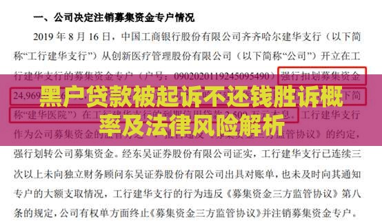 黑户贷款被起诉不还钱胜诉概率及法律风险解析