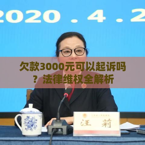 欠款3000元可以起诉吗？法律维权全解析