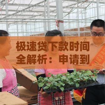 极速贷下款时间全解析：申请到到账需要多久？