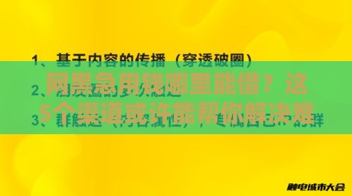 网黑急用钱哪里能借？这5个渠道或许能帮你解决难题
