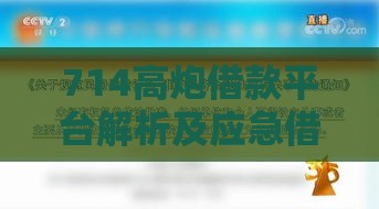 714高炮借款平台解析及应急借款指南