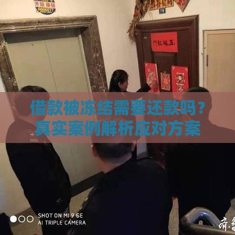 借款被冻结需要还款吗？真实案例解析应对方案