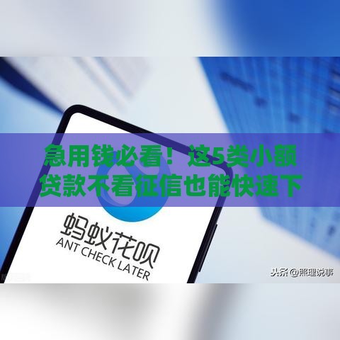 急用钱必看！这5类小额贷款不看征信也能快速下款