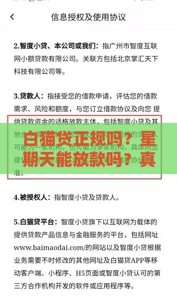 白猫贷正规吗？星期天能放款吗？真实用户经验解析