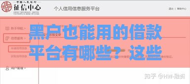 黑户也能用的借款平台有哪些？这些平台无视征信放款