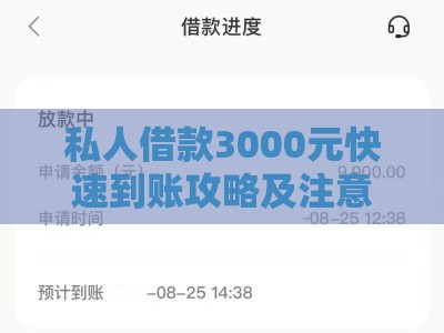 私人借款3000元快速到账攻略及注意事项