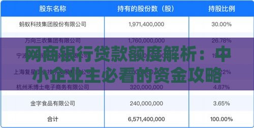 网商银行贷款额度解析：中小企业主必看的资金攻略