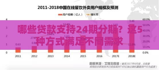 哪些贷款支持24期分期？这5种方式满足不同需求